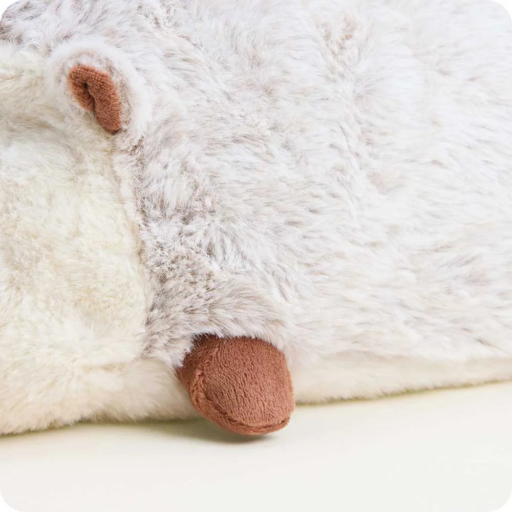 Baby Hedgehog Warmies