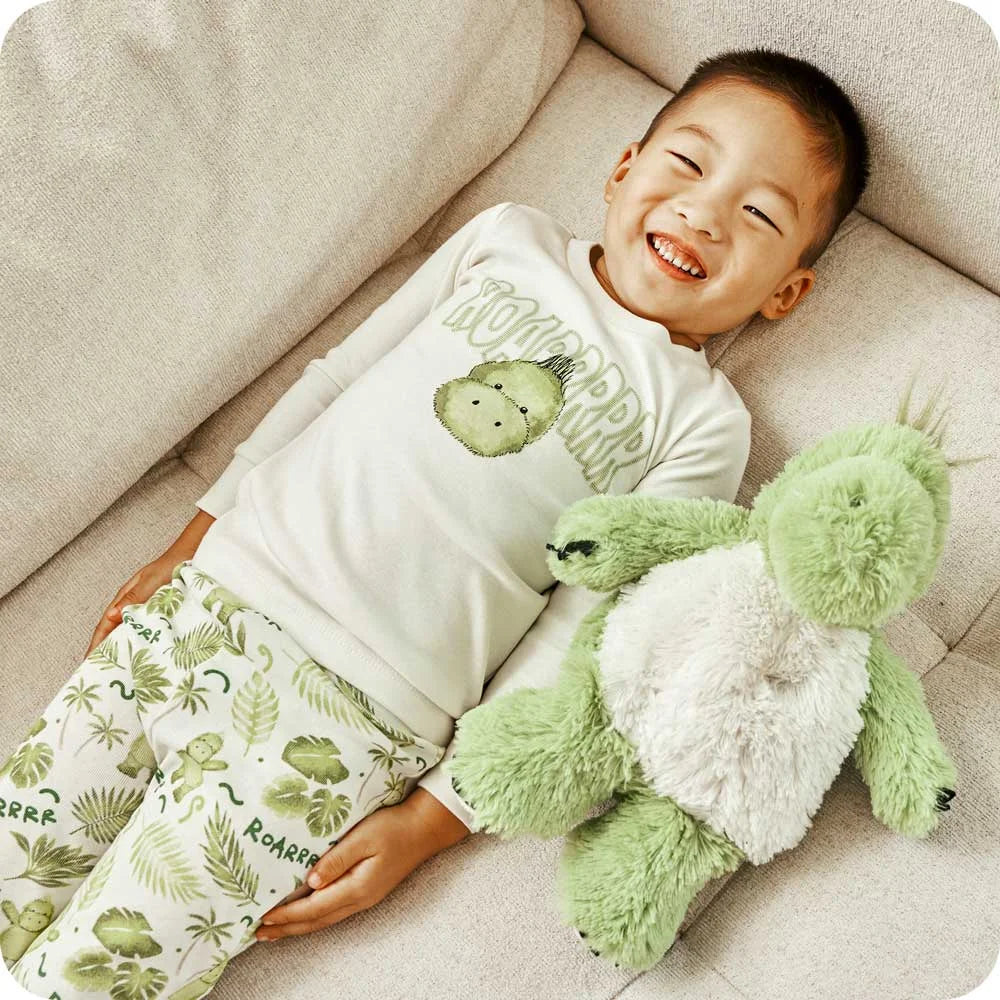 Dinosaur Long Pajamas