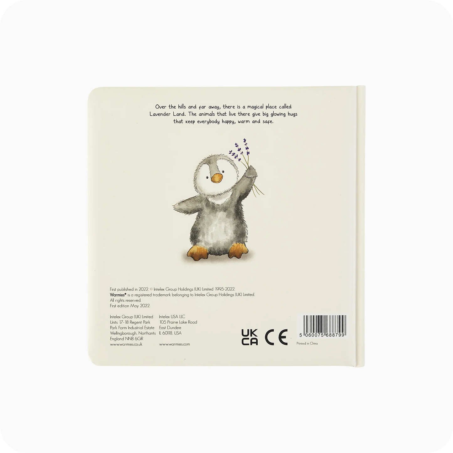 Lost in the Woods Board Book