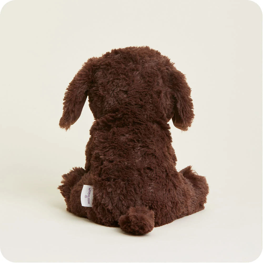 Chocolate Labrador Warmies
