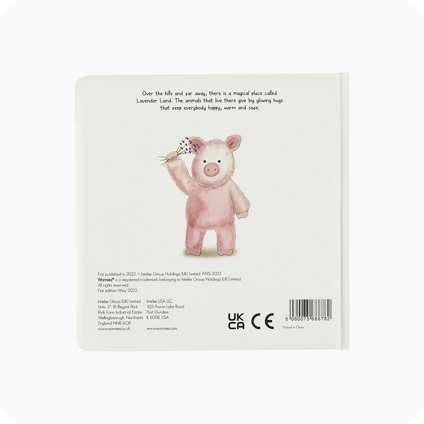 Pigs Can Fly Board Book