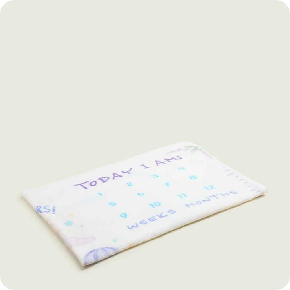 Baby Milestone Blanket Warmies