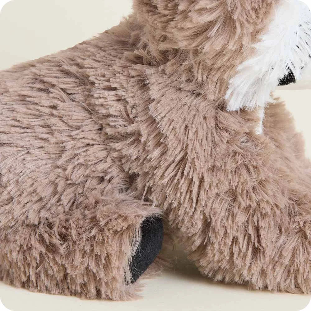 Raccoon Warmies Junior