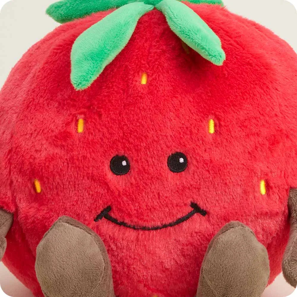 Strawberry Warmies