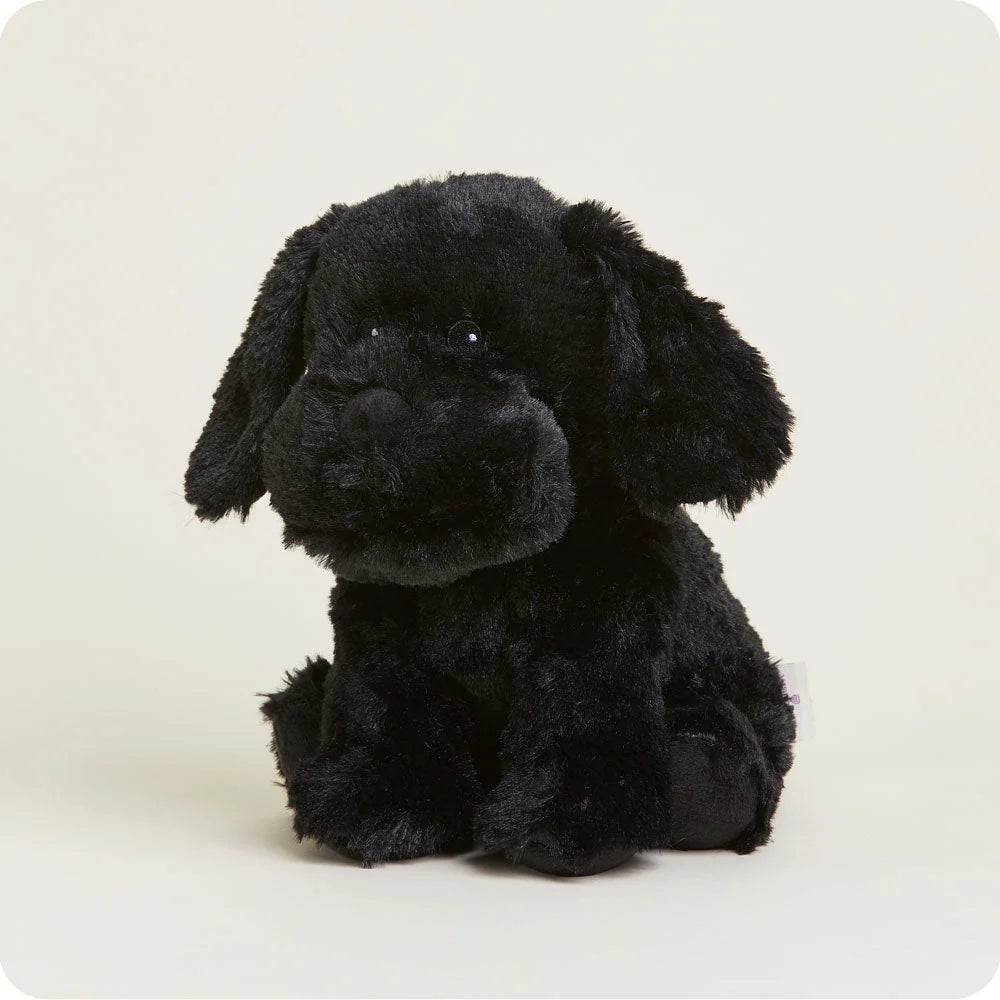 Black Labrador Warmies