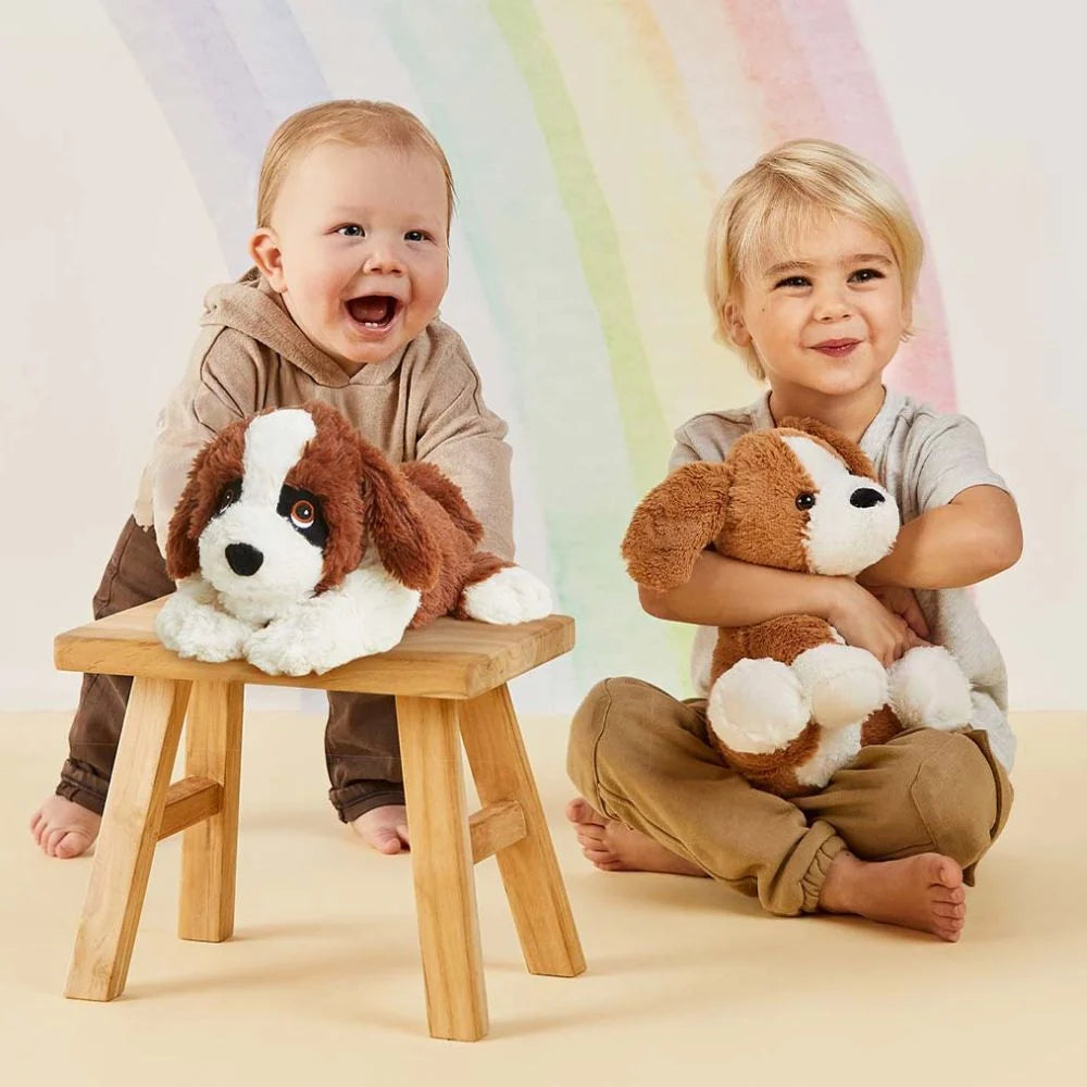 St. Bernard Warmies