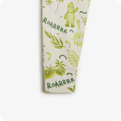 Dinosaur Long Pajamas
